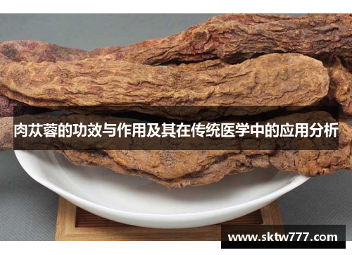 肉苁蓉的功效与作用及其在传统医学中的应用分析